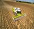 Mietitrebbie Claas Lexion 620