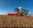 Mietitrebbie Claas Lexion 750
