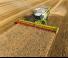 Mietitrebbie Claas Lexion 760