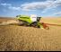 Mietitrebbie Claas Lexion 760