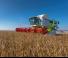 Mietitrebbie Claas Lexion 770