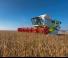 Mietitrebbie Claas Lexion 770