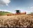 Mietitrebbie Claas Lexion 8500
