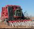 Mietitrebbie Case IH Module Express 635