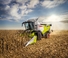 Mietitrebbie Claas Trion 660   