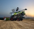 Mietitrebbie Claas Trion 720   