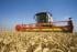 Mietitrebbie Claas Tucano 430