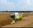 Mietitrebbie Claas Tucano 550