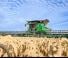 Mietitrebbie John Deere X9 1000  