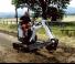 Miniescavatori Bobcat E10z
