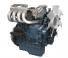 Motori Kubota WG1605-GL-E3