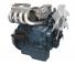 Motori Kubota WG1605-LN-E3