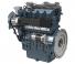 Motori Kubota WG2503-G-E3