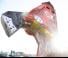 Accessori e attacchi Multiprocessori idraulici (Cesoie) LaBounty MSD 4000