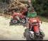 Pala gommata Case IH L3509U