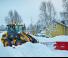 Pale gommate JCB 409