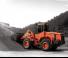 Pale gommate Doosan DL 200