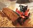 Pale gommate Doosan DL 250
