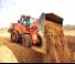 Pale gommate Doosan DL250 TC 5