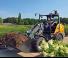 Pale gommate Giant G5000