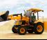 Pale gommate Bull HD76