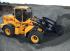 Pale gommate Ljungby L 13