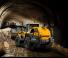 Pale gommate Liebherr L 566 XPower