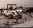 Pale gommate Bobcat L23