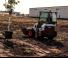 Pale gommate Bobcat L28