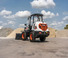 Pale gommate Bobcat L65