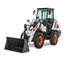 Pale gommate Bobcat L65