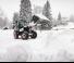 Pale gommate Bobcat L85