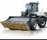 Pale gommate Schaeff TL 100