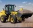Pale gommate New Holland W 110