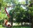 Piattaforme aeree articolate Piattaforme aeree articolate cingolate Hinowa Lightlift 18.80 Performance IIIS