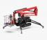 Basket Spider 15.75