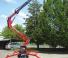 Basket Spider 18 A