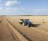 Presse per grandi imballaggi + Presse ad alta pressione New Holland BB 1290 R