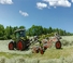 Ranghinatori rotativi Claas Liner 3100 Trend
