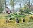 Ranghinatori rotativi Krone Swadro TS 740