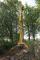Piattaforme aeree articolate Piattaforme aeree articolate cingolate OMMELIFT 2500 RBDXJ