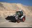 Terne Bobcat B730