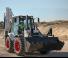 Terne Bobcat B780