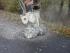 Terex WS 30 HD