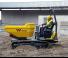 Dumper cingolati Wacker Neuson DT23