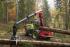 Macchine forestali Trattori forestali speciali Werner WF-trac 1500