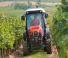 Trattrici agricole - trazione a 4 ruote SAME Frutteto S 105 