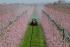 Trattrici agricole - trazione a 4 ruote SAME Frutteto³ 80 DT