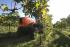 Trattrici agricole - trazione a 4 ruote SAME Frutteto³ S 90.3 DT