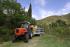 Trattrici agricole - trazione a 4 ruote SAME Frutteto³ S 90.3 DT